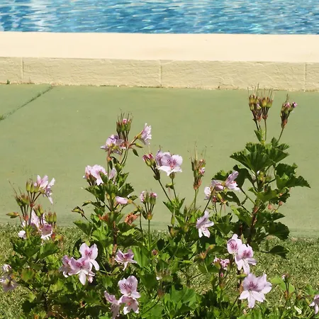 Casa Dos Piscinas Y Jardin Privado, Fibra 1 Gb Holiday home Denia
