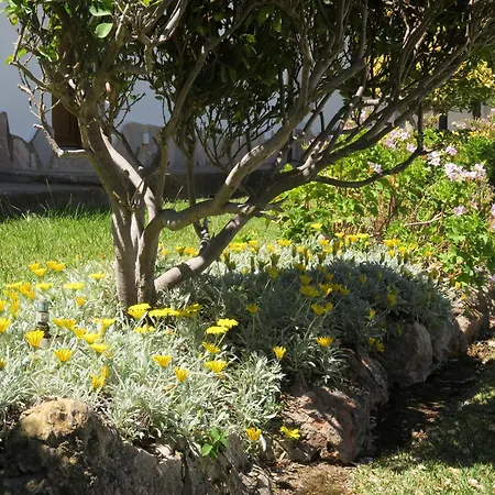 Casa Dos Piscinas Y Jardin Privado, Fibra 1 Gb *